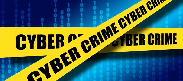 Securing Cyberspace: Insights Into Cybercrime Investigations In India