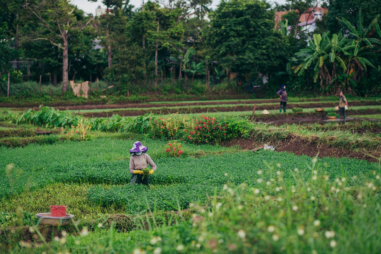 Traditional Goods and Agriculture