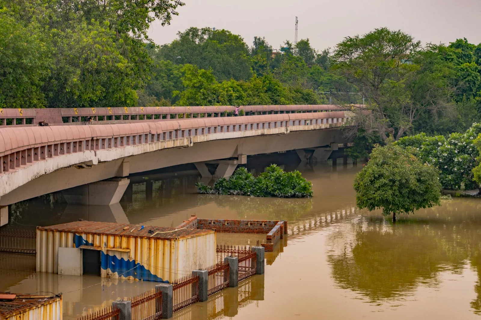 Infrastructure Insolvency in India: What Happens - Flooded area under a bridge in New Delhi, surrounded by trees and murky wa