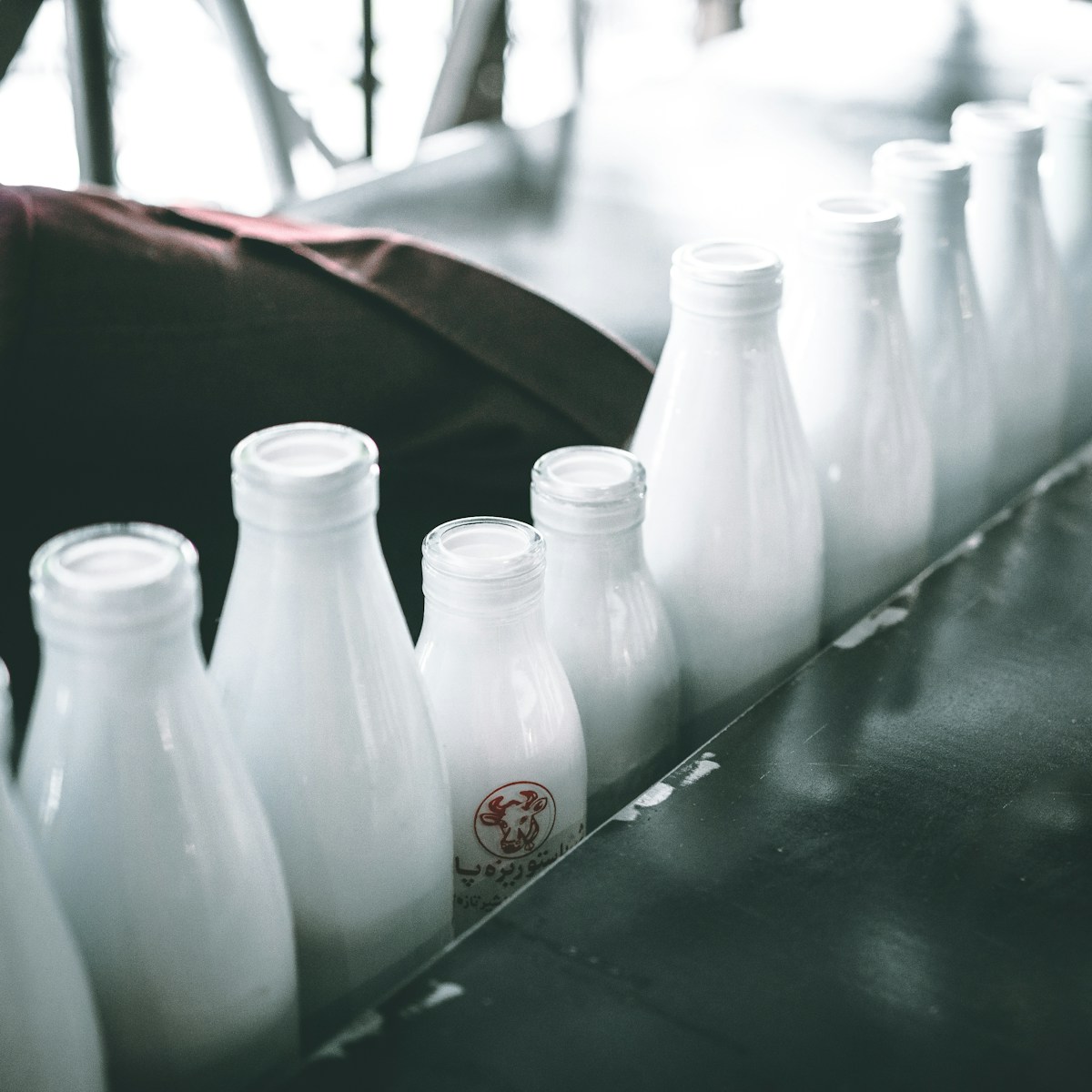 Regulating India’s Dairy Sector: Legal, Policy and Compliance Perspectives
