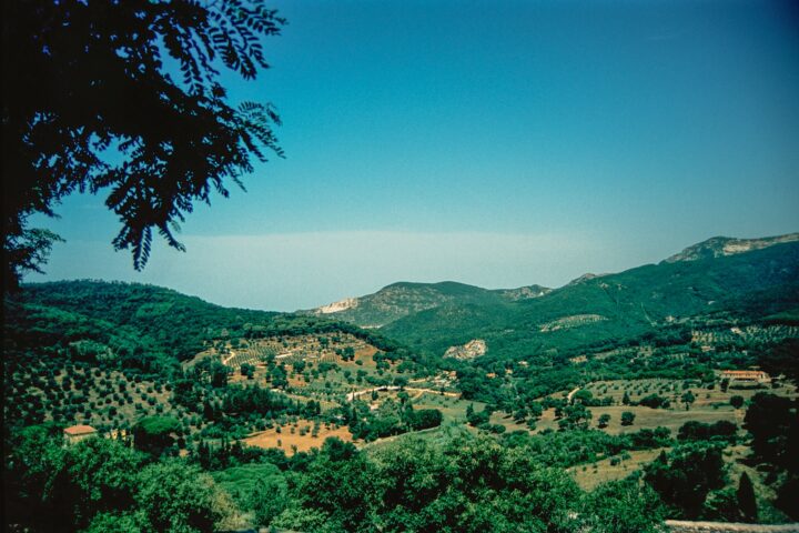 a view of a valley with trees and mountains in the background