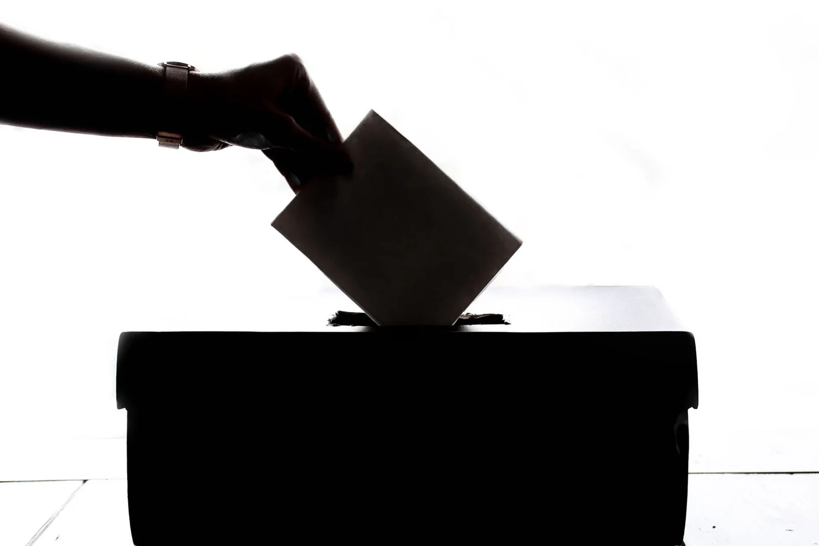 right to vote and contest elections - Silhouette of a hand placing a vote into a ballot box, symbolizing democracy.